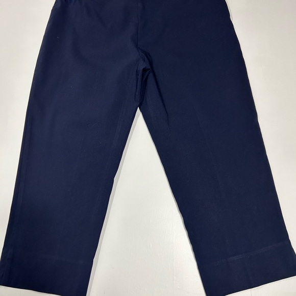 ZC & Rachel ultimate fit pull on ankle pants women’s size 12 new with tags - Picture 7 of 10